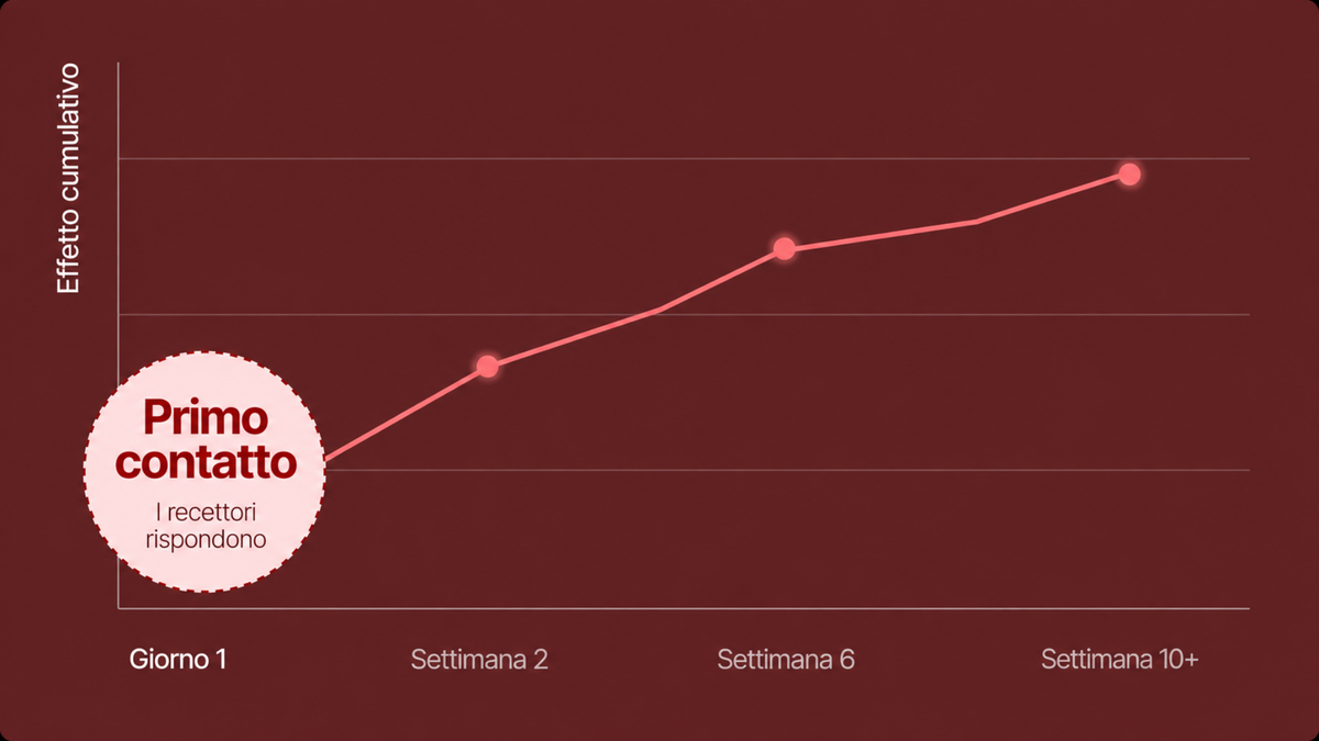 Settimana 1
