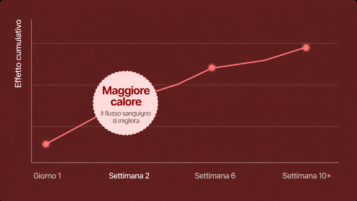 Settimana 2