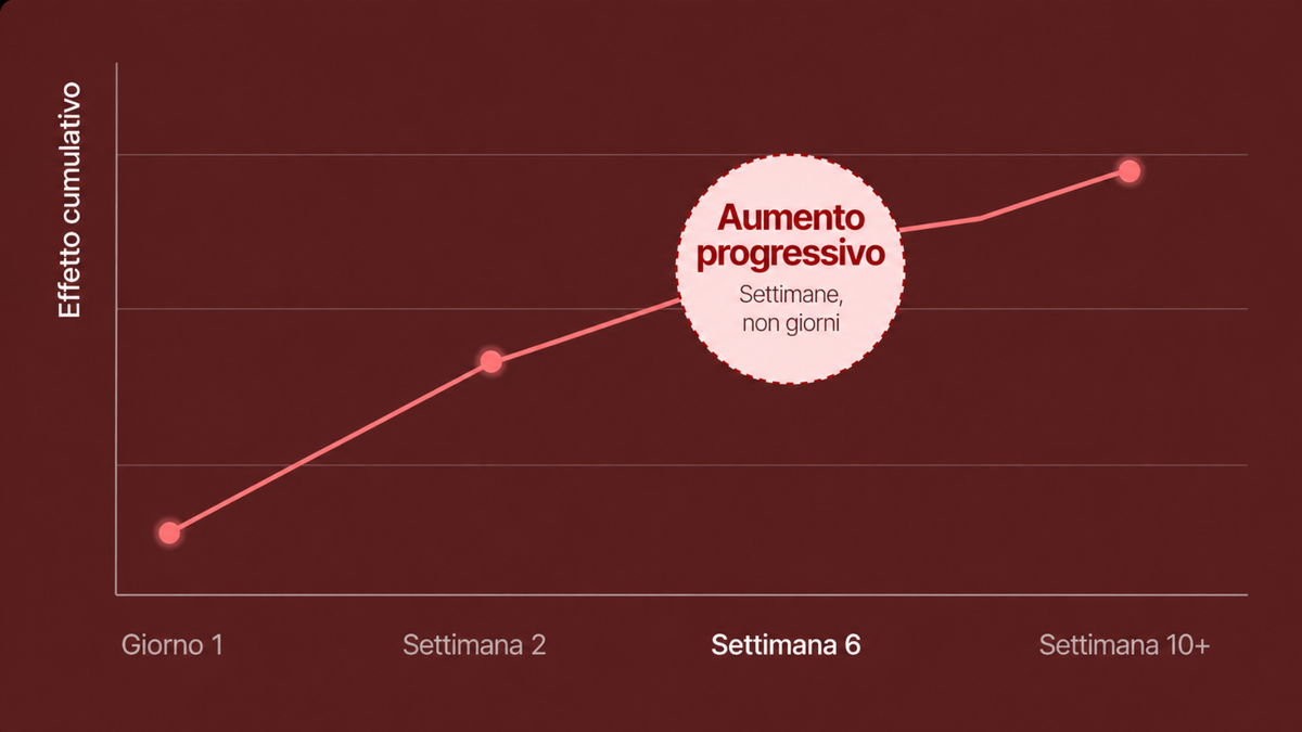Settimana 6