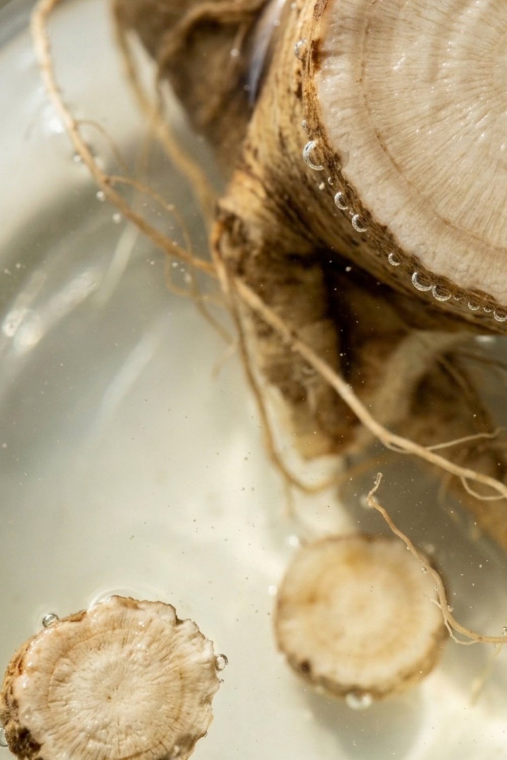 Ginseng