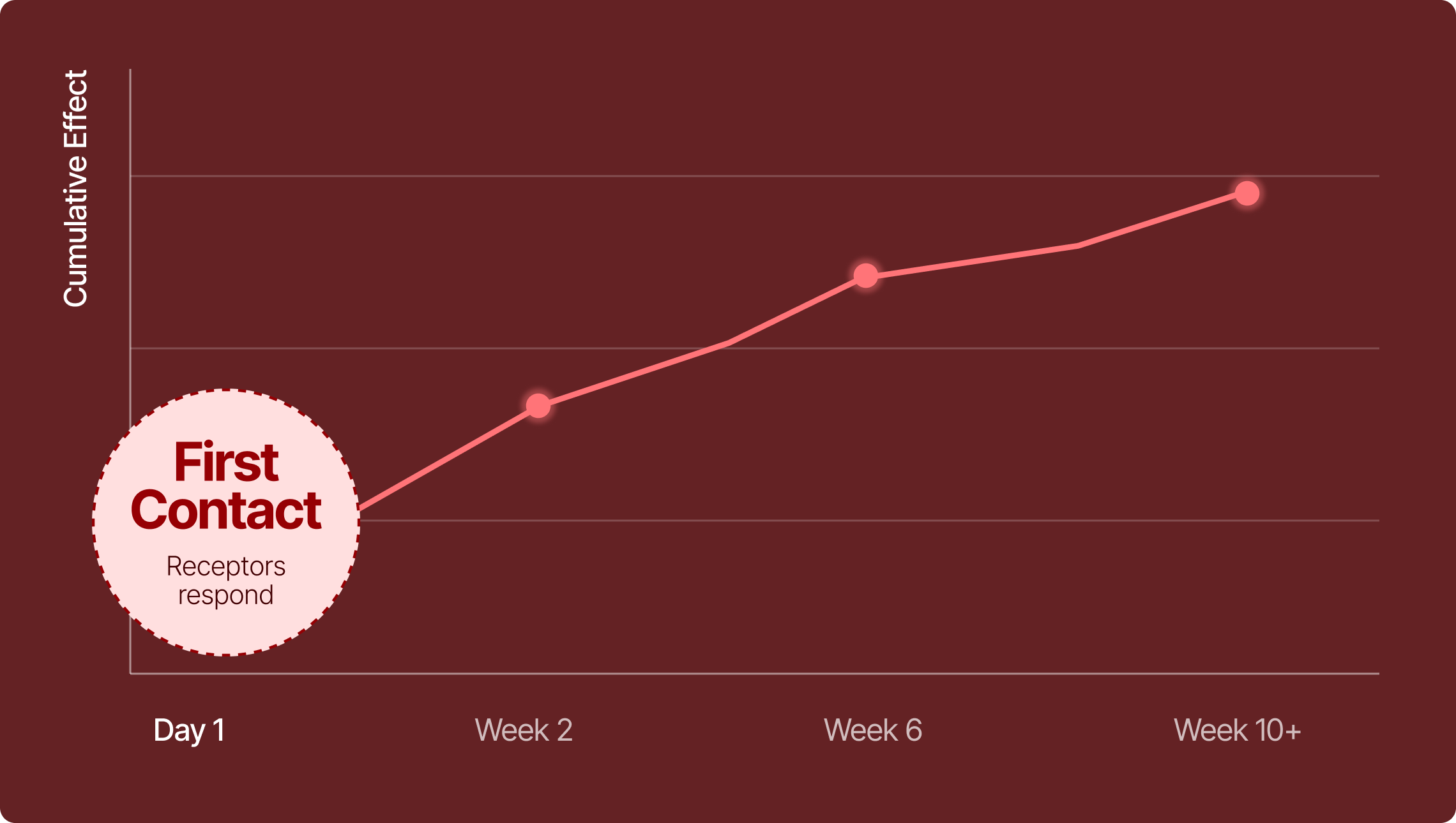 Timeline: Day 1, first contact