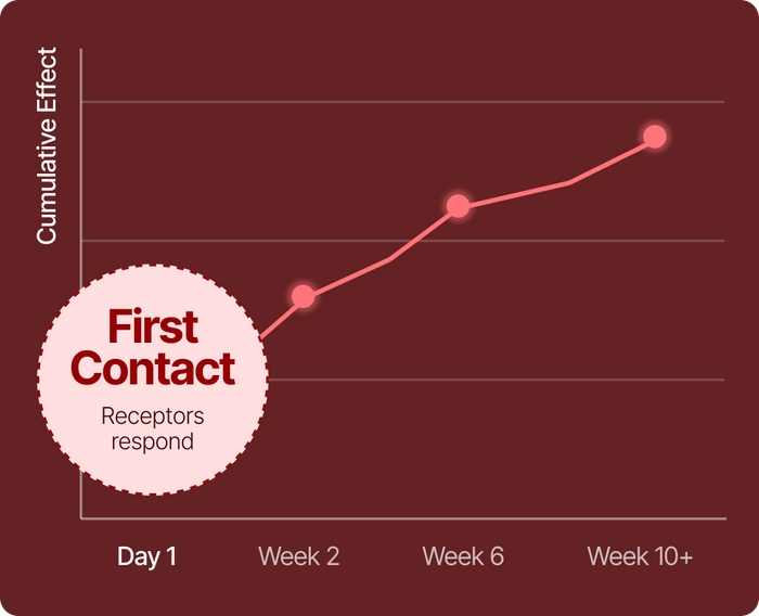 Week 1 timeline