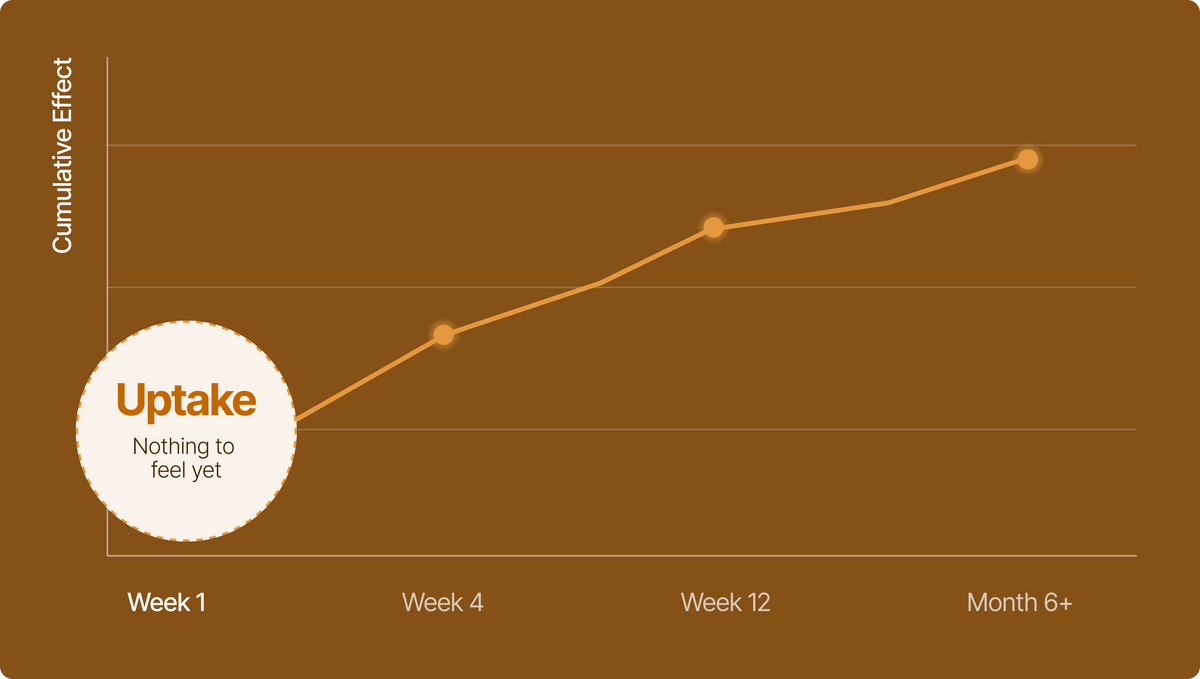 Week 1