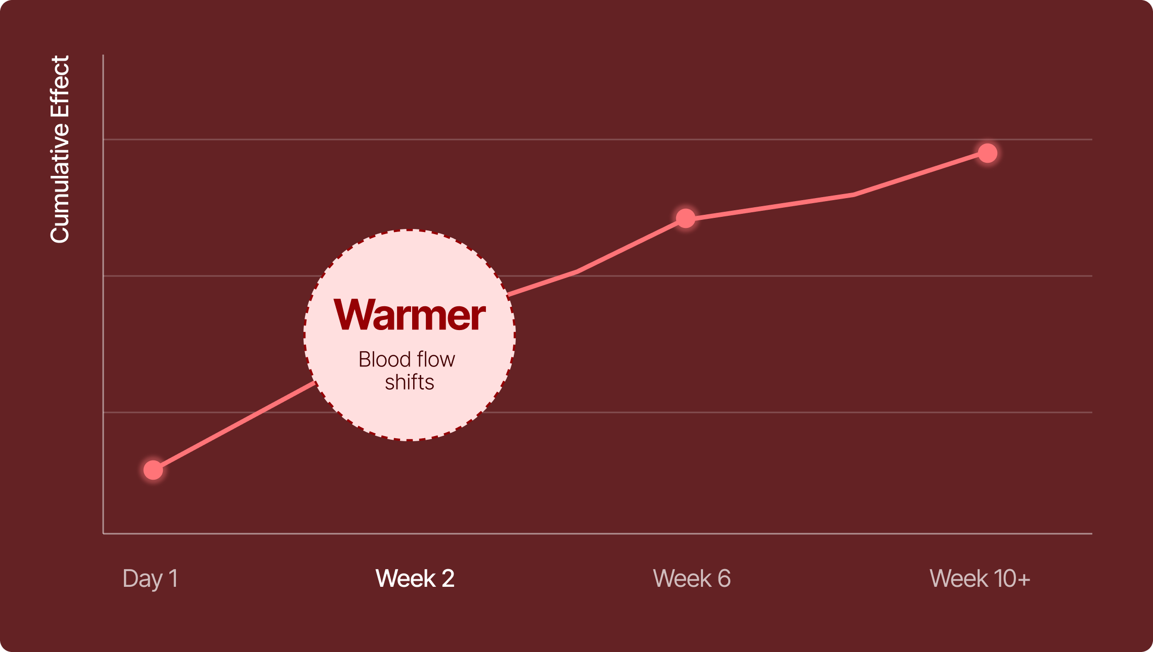 Timeline: Week 2