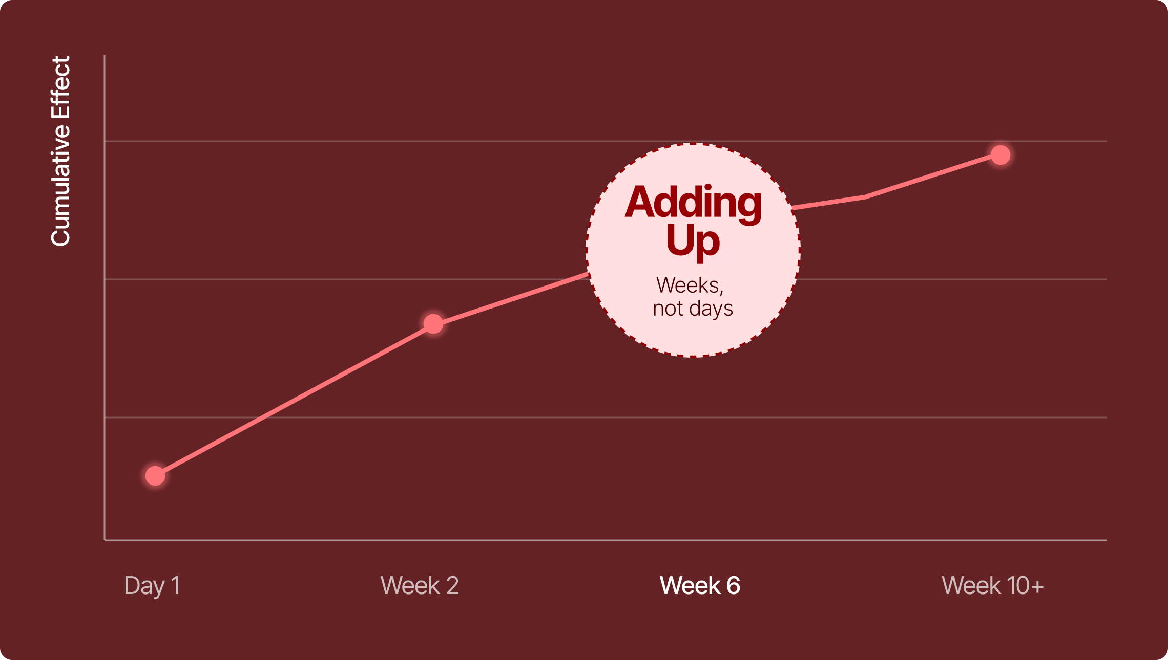 Timeline: Week 6